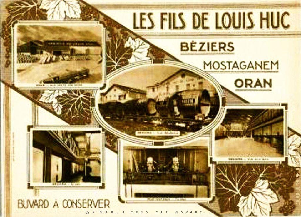 Oran Pub vins 111.jpg